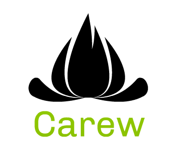 Carew项目的标志，它使用了一些Symfony组件ob娱乐下载